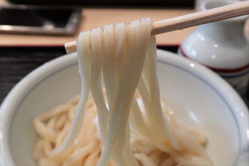名古屋といえば讃岐うどんでしょう! 手打うどん かとう @ 中村区太閤通 名古屋ツアー 1日目の二軒目 190206