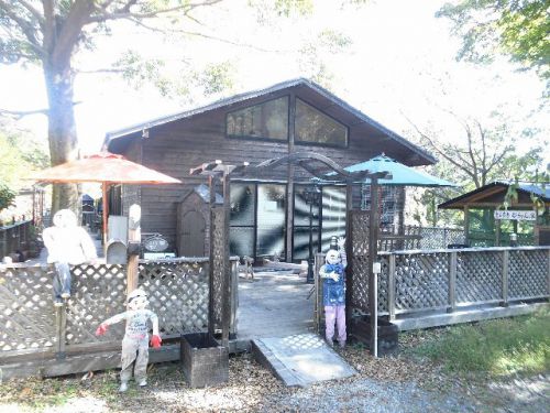 神山シャングリ・ラ園(山小屋汁なしカレーうどん)685円