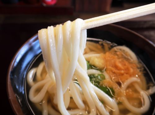 多度津の人気店が2号店をオープン さぬきうどん 山よし 佐分店 @ まんのう町 181017