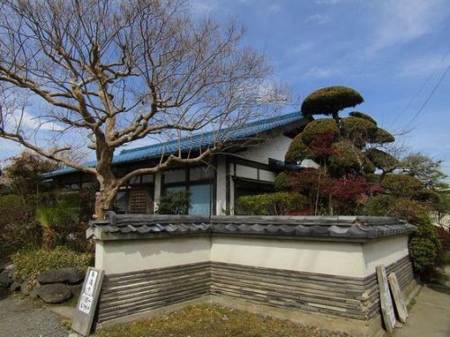 笠間市「手打ち百藝 泰然」の発芽そば&田舎そば!