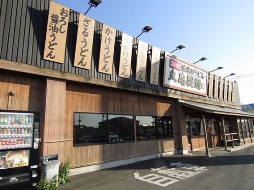 丸亀製麺の「とろ玉うどん」と、偕楽園散歩!
