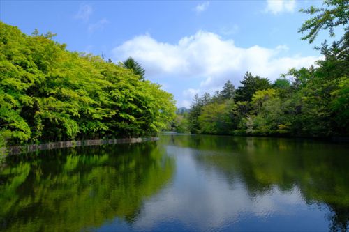 長野「手打ちそば たなぼた庵」