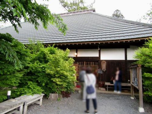 お蕎麦もいいけど、うどんもね♪水戸市「たらいうどん椛や」