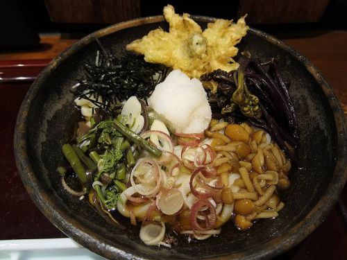 うどん棒 大阪店 @ 山菜おろしうどん (2019年5月限定)