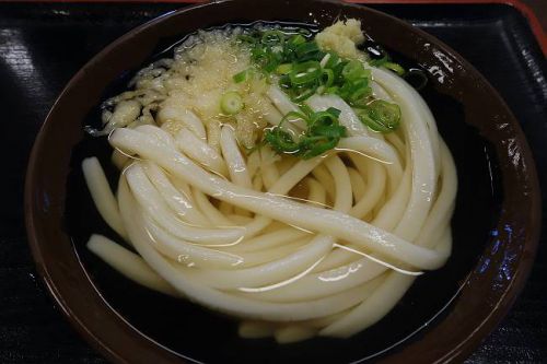 手打十段 うどんバカ一代 @ かけそのまま