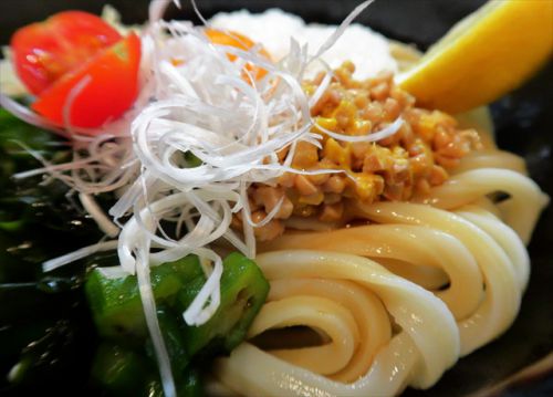 メガシャキ MAX 自家製手打 やおきうどん @ 西田辺 大阪すっきゃ麺 幻の二軒目 190610