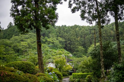 神社仏閣とのコラボ!屋台ベースで本格蕎麦をケータリング