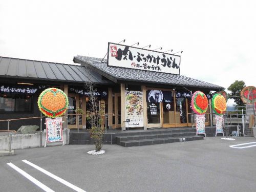 徳島 肉ぶっかけ 富士うどん・藍住店(豚肉ぶっかけうどん冷小)420円