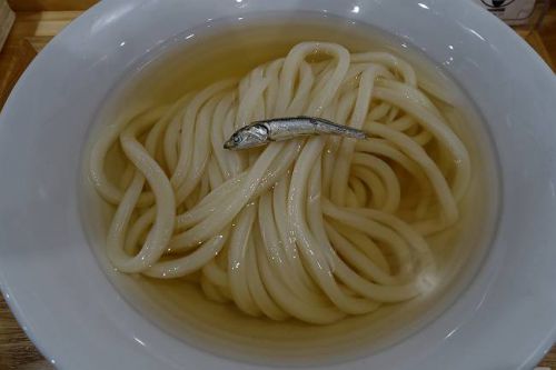 きりん屋 @ かけうどん(冷)
