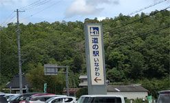 辛味大根♪道の駅いながわの辛味おろしそばが美味い