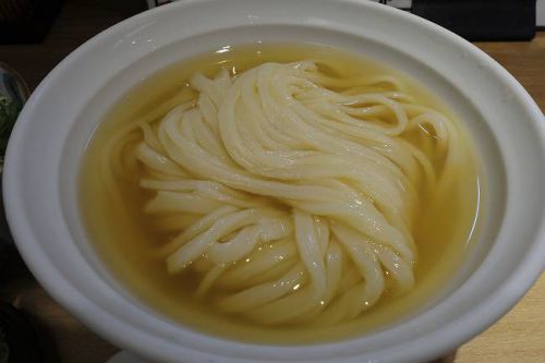満天うどん カジバノバカヂカラ @ 今日も美味しい 本まぐろ丼