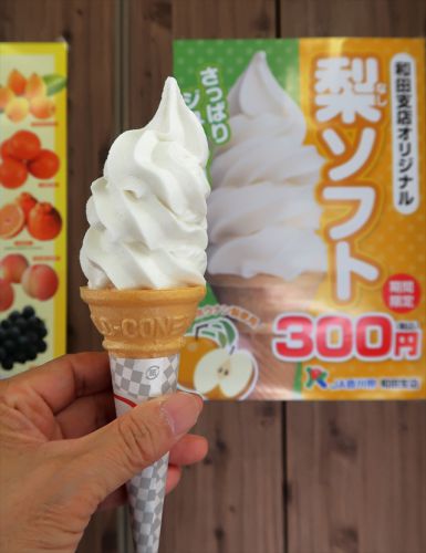 梨がナシの梨直売所で梨ソフト JR香川県和田支所「ホウナンの梨」直売所 @ 観音寺市豊浜町和田 今年九回目の讃岐うどんツアー 三軒目 190826
