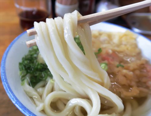 天小ネギ増し下さ~い! 手打ちうどん 大喜多うどん店 @ 観音寺市池之尻町 今年九回目の讃岐うどんツアー 五軒目 190826
