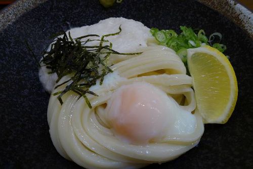 自家製麺 うどん 司 @ 温玉とろろぶっかけで達成!