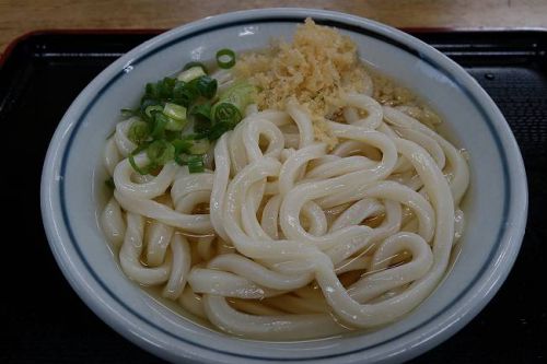 うつ海うどん @ かけそのまま