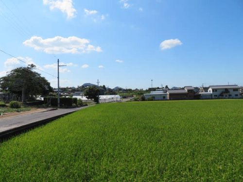手打うどん 久保 - 県民おすすめのお店2 -