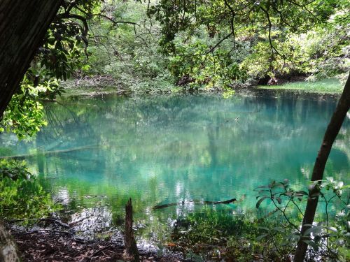2019年夏の旅② 鶴岡・酒田 「庄内の海の幸、山の幸を中心に酒と蕎麦も楽しむ」