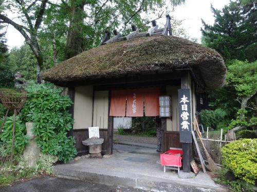 2019年夏の旅③鶴岡・酒田 蕎麦編 生石 大松家(酒田)蕎麦切りと麦切り