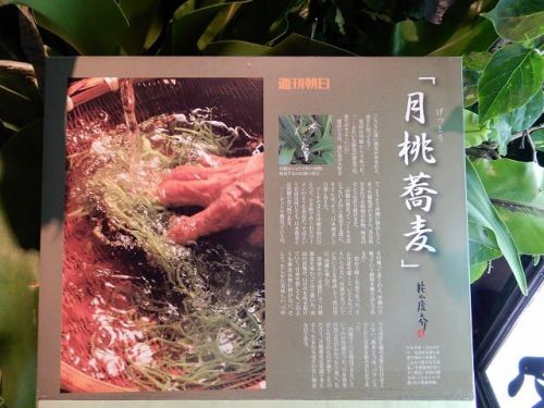 蕎麦「美濃作」