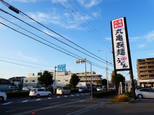 牡蠣づくし玉子あんかけうどん