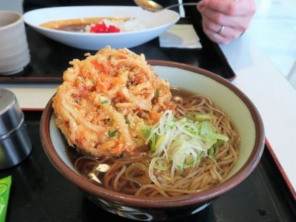 常磐道 矢田部SA(下り) 「かき揚げそば」
