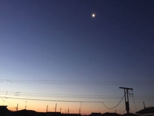 お蕎麦屋さんに入りずらいですか?