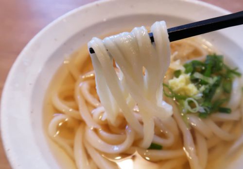 まるでお洒落なカフェのような讃岐の新店うどん店 川川うどん @ 善通寺市金蔵寺町 今年14回目の讃岐うどんツアー 五by G軒目 191209