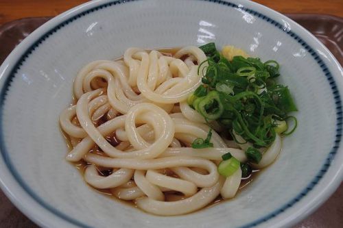 上原屋本店 @ ぶっかけうどん