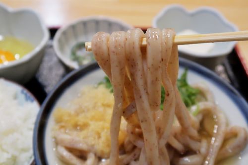 おはよ~うどんはめちゃ旨!コスパ抜群 !!! うどん 讃く @ 福島 200210
