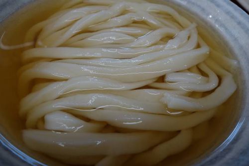 純手打うどん よしや @ ひやかけとげそ天
