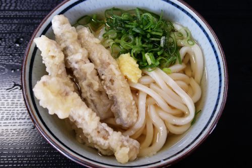久々の丼に入ったうどんを選ぶフルセルフうどん店 セルフうどん たぬき屋 @ 岡山市 200329