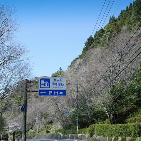 梼原町をブラブラ1.雲の上のホテルで鴨ねぎ蕎麦