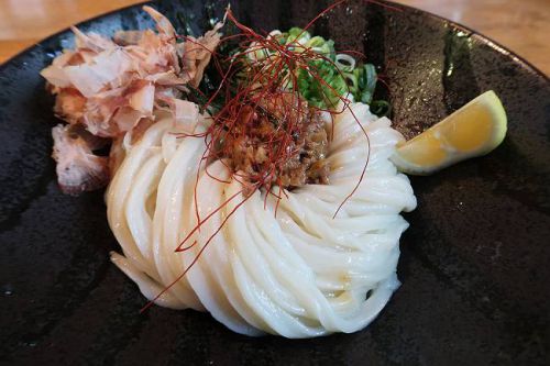 うどん 色彩 @ 5年ぶりの牛めしに感動しました。