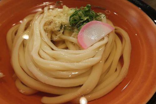 自家製手打ち やおきうどん @ 豊富なお昼の定食で悩みますよ。