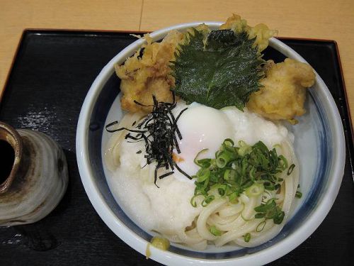 うどん千代 @ 鶏天とろろぶっかけ