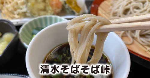 【清水そばそば峠】地場で採れた山菜の天ぷらが最高【山田村の蕎麦屋】