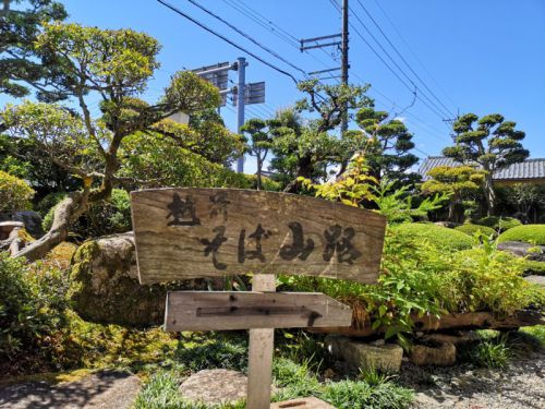 山路のおろしそばとおろしとろろかけ発芽玄米セット