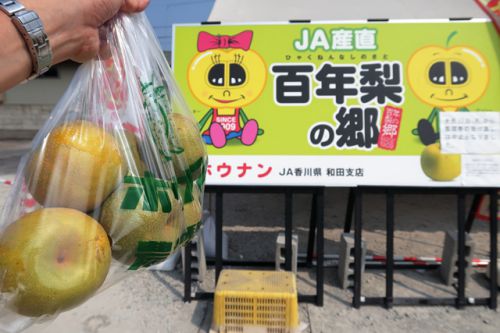 嗚呼 梨ソフトがぁぁぁぁ~(T T) JA香川県 和田支所 「ホウナンの梨」直売所 @ 観音寺市豊浜町和田 今年6回目の讃岐うどんツアー 三軒目 190807