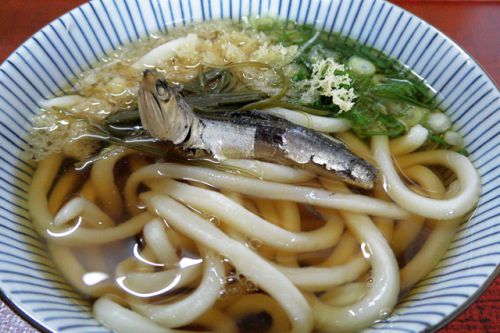 惜しまれつつ新型コロナの影響で8月31日で閉店 松下うどん @ 岡山市北区野田屋町 青春18きっぷで岡山うどんツアー 三軒目 200828