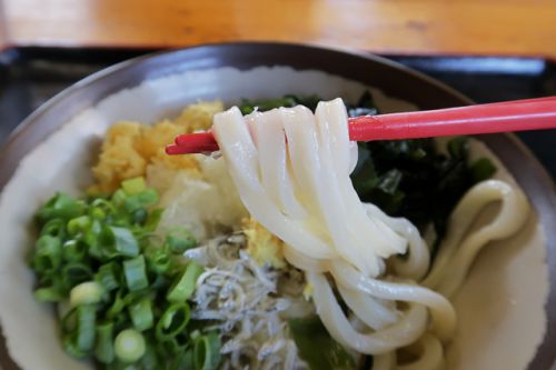 めちゃ旨! 具沢山の醬油うどん セルフうどん うらら @ 観音寺市古川町 今年七回目の讃岐うどんツアー 四軒目 200830