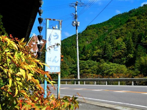 阿讃亭 松茸うどん (香川県高松市塩江町)
