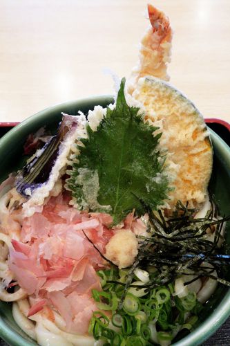 熱々通し揚げの天ぷらと麺肌滑らかな冷たいうどんとの対比が素敵 うどん ゆきの @ 西田辺 210126