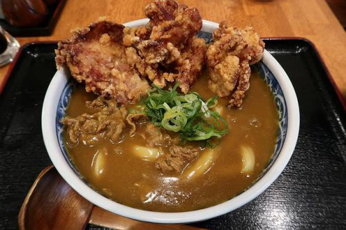 熟成うどん なかや @ ボリューム抜群です! とり唐カレーうどん