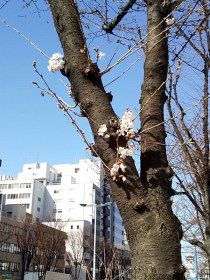 3玉はうどんだけでも750gになるのです