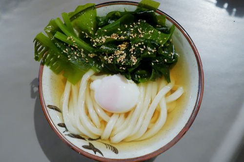 春を呼ぶ大阪湾は泉南産の生わかめのおうどん Udon Kyutaro @ 大阪市中央区久太郎町 210310