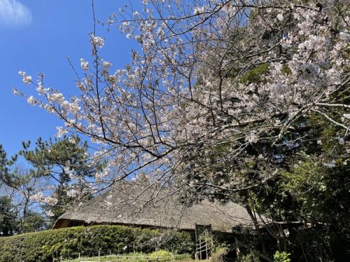 名代 富士そば 津田沼店 その十八
