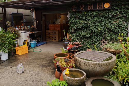 うどん県。それだけじゃない香川県 今年二回目の讃岐うどんツアー 観光お土産編 210313