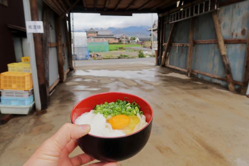 極太剛麺!杵と臼で打つ餅つき製法の新店セルフうどん店 讃岐麺処 山岡 @ 観音寺市大野原 今年二回目の讃岐うどんツアー 二軒目 210313
