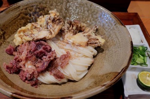 びよ~んとノビる粘りコシのうどん 踊るうどん @ 梅田 210315