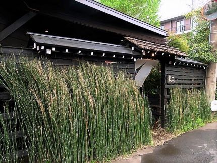 東村山 「土家」 春の宵の「蕎麦会席」 蛤と筍の茶碗蒸し